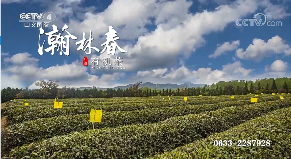 瀚林春茶业