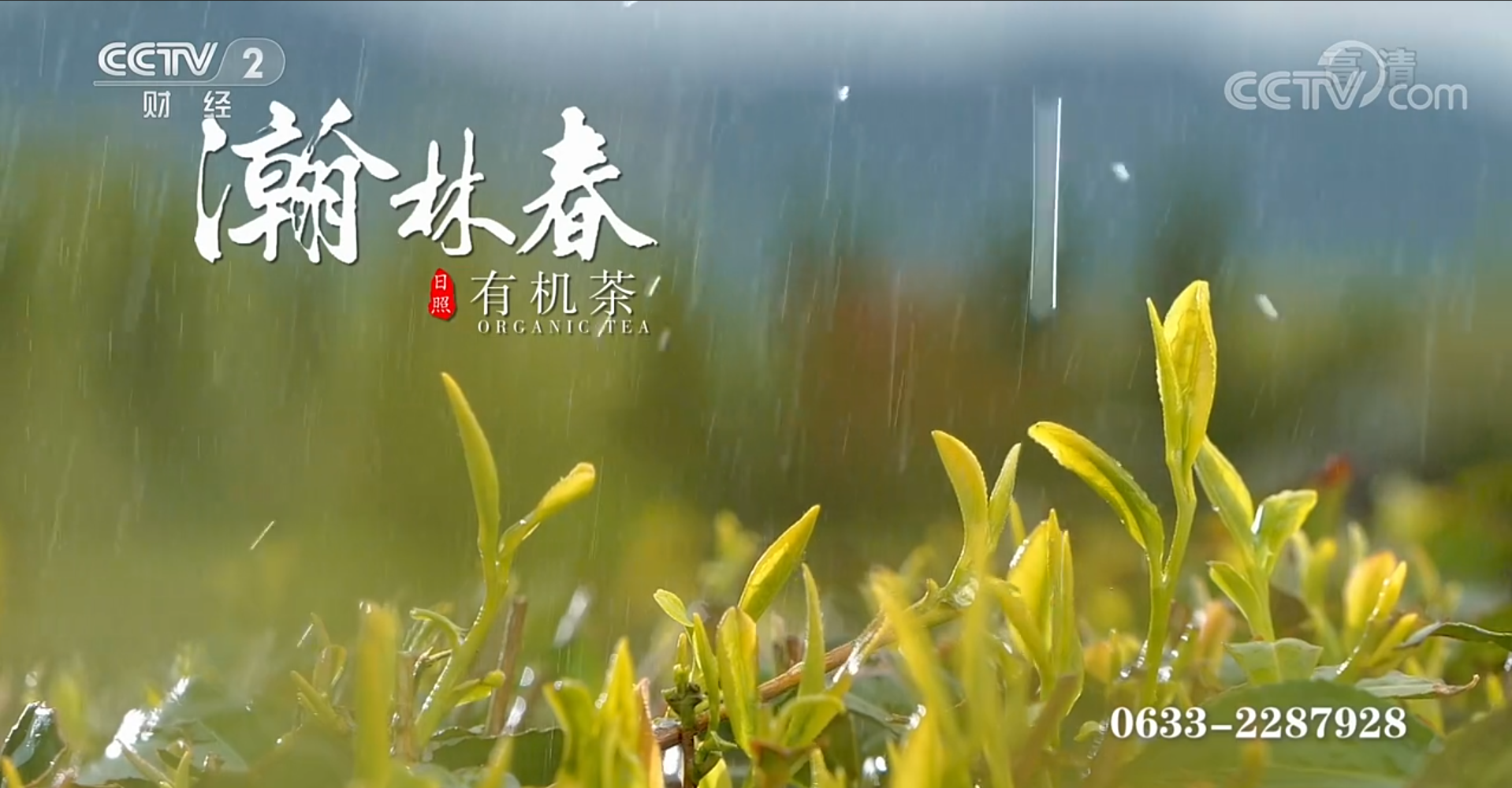 瀚林春茶业