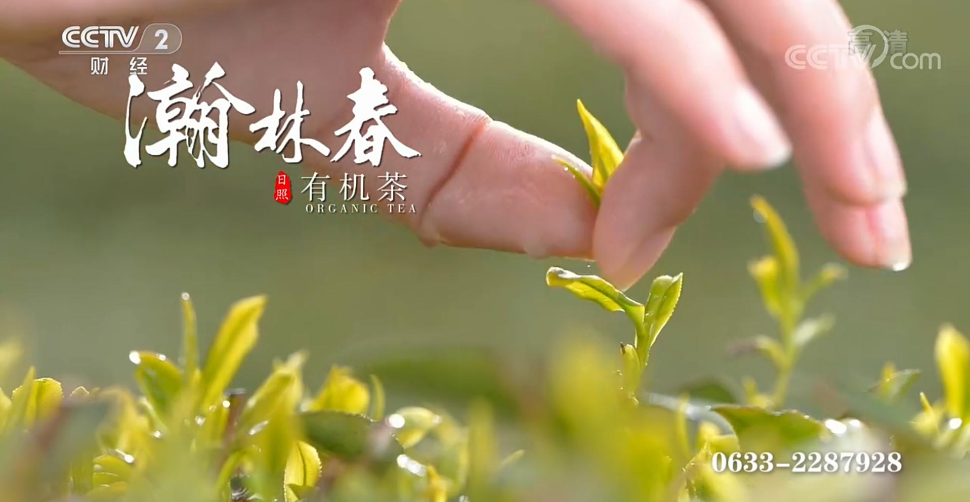 瀚林春茶业