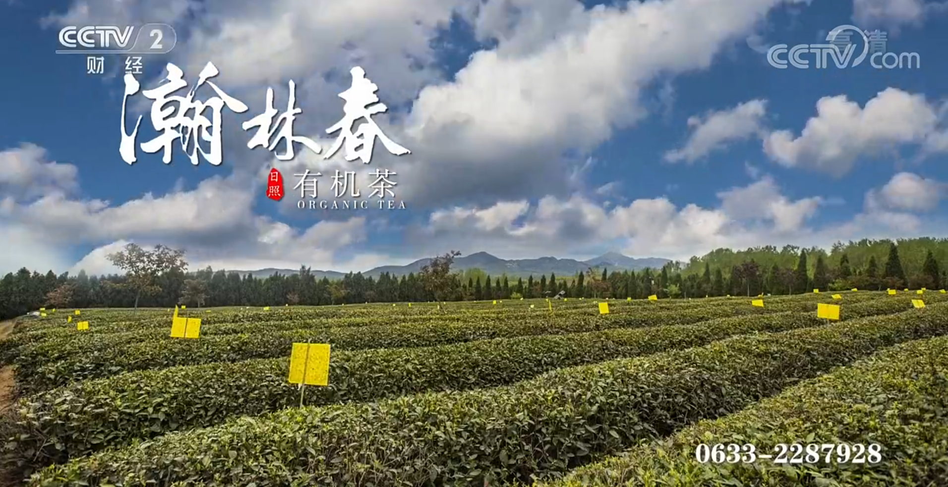 瀚林春茶业