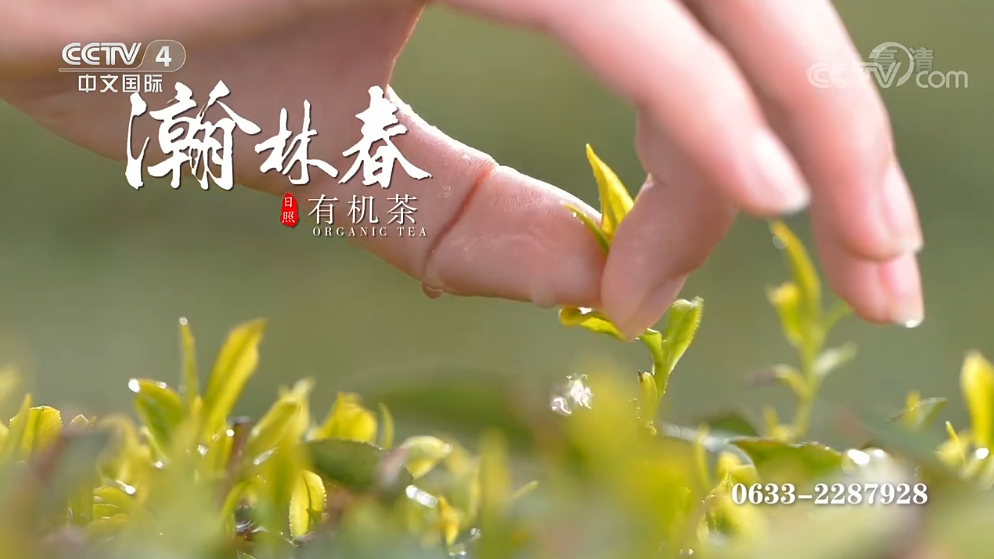 瀚林春茶业