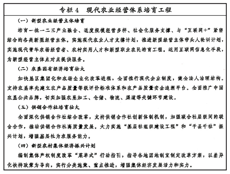 乡村振兴战略规划（2018－2022年）(图4)