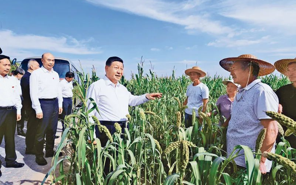 习近平:坚持把解决好“三农”问题作为全党工作重中之重 举全党全社会之力推动乡村振兴(图2) 习近平:坚持把解决好“三农”问题作为全党工作重中之重 举全党全社会之力推动乡村振兴(图2)