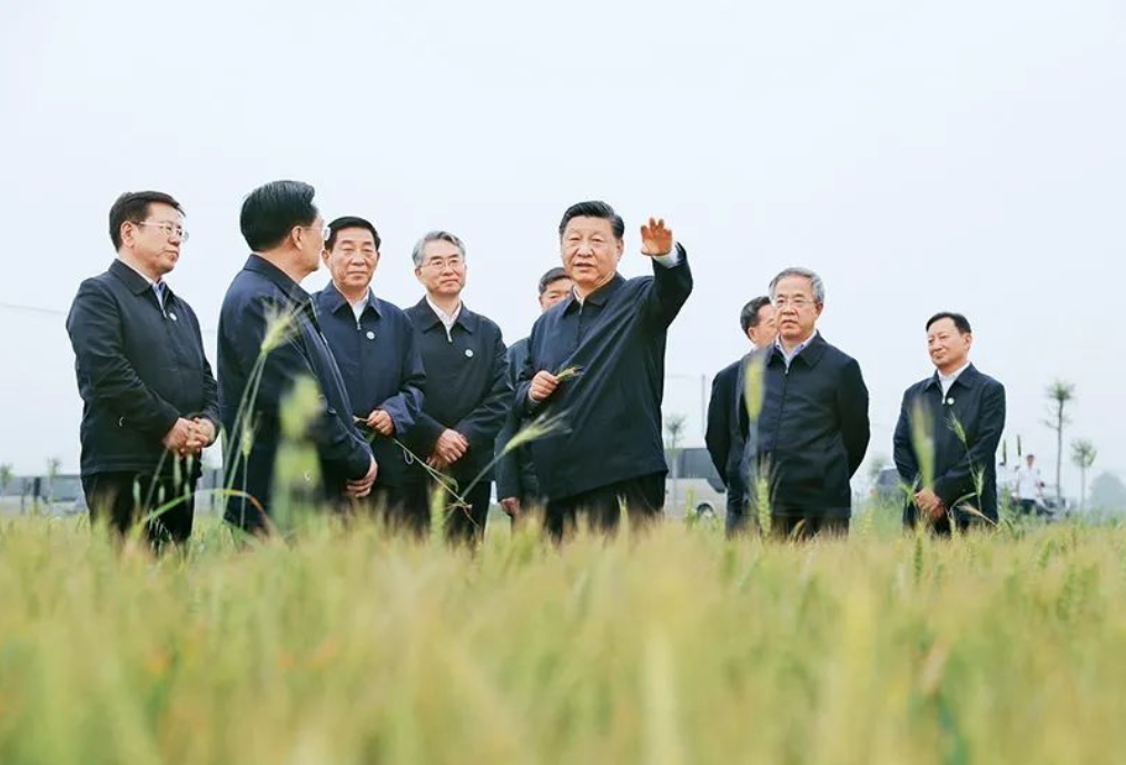 习近平:坚持把解决好“三农”问题作为全党工作重中之重 举全党全社会之力推动乡村振兴(图3) 习近平:坚持把解决好“三农”问题作为全党工作重中之重 举全党全社会之力推动乡村振兴(图3)