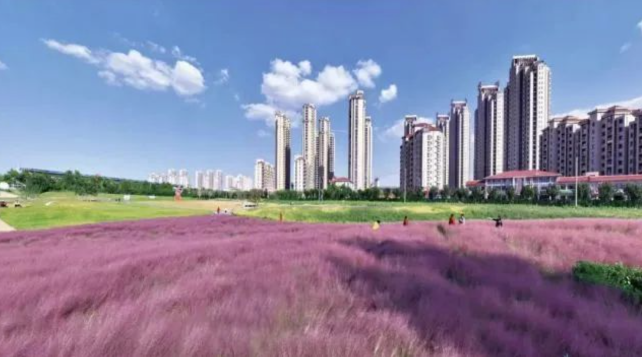 《党建》刊发山东省委书记林武文章:在中国式现代化新征程上展现山东担当(图3) 《党建》刊发山东省委书记林武文章:在中国式现代化新征程上展现山东担当(图3)