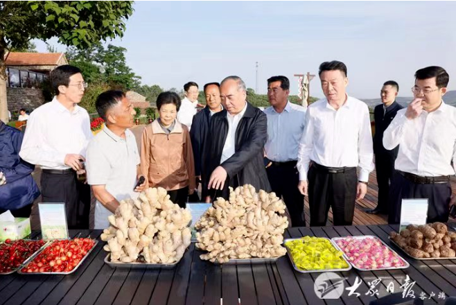 全省乡村振兴齐鲁样板现场推进会议举行(图1)