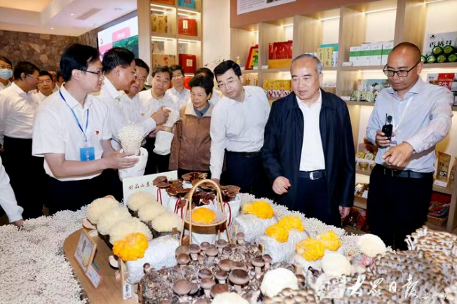 全省乡村振兴齐鲁样板现场推进会议举行(图2)