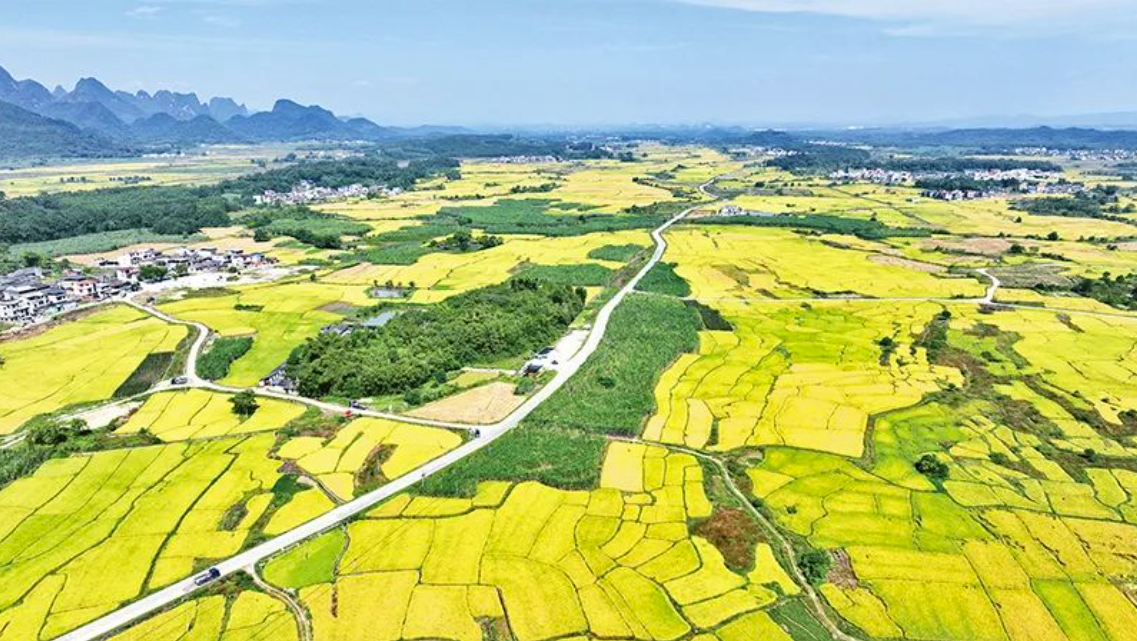 中央农办：有力有效推进乡村全面振兴(图1)